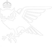 Nocturnal City